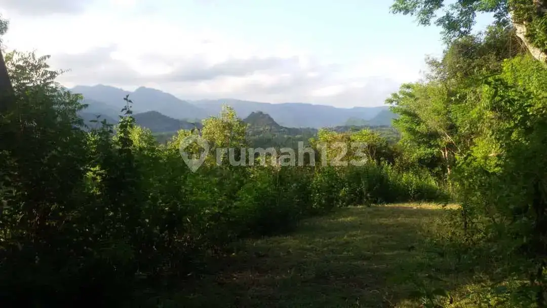 Villa dengan Pemandangan Sawah dan Laut di Area Tenang Sambangan Singaraja