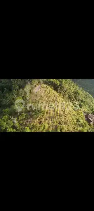 Tanah 2 Hektar dengan Pemandangan Laut dan Gunung di Seraya Karangasem Cocok untuk Investasi