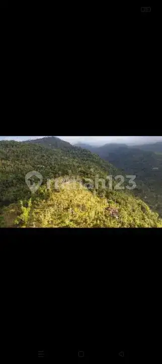 Tanah 2 Hektar dengan Pemandangan Laut dan Gunung di Seraya Karangasem Cocok untuk Investasi
