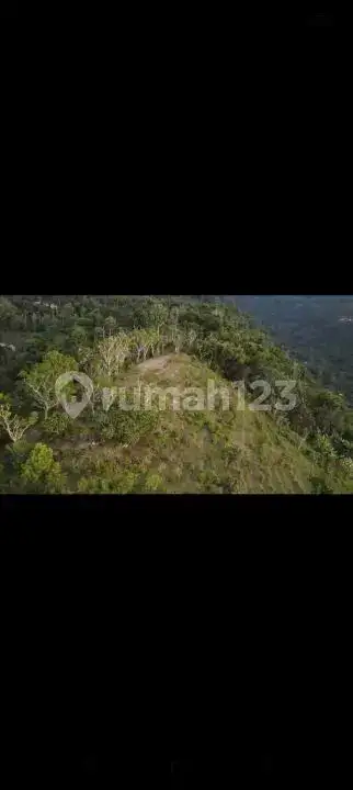 Tanah 2 Hektar dengan Pemandangan Laut dan Gunung di Seraya Karangasem Cocok untuk Investasi
