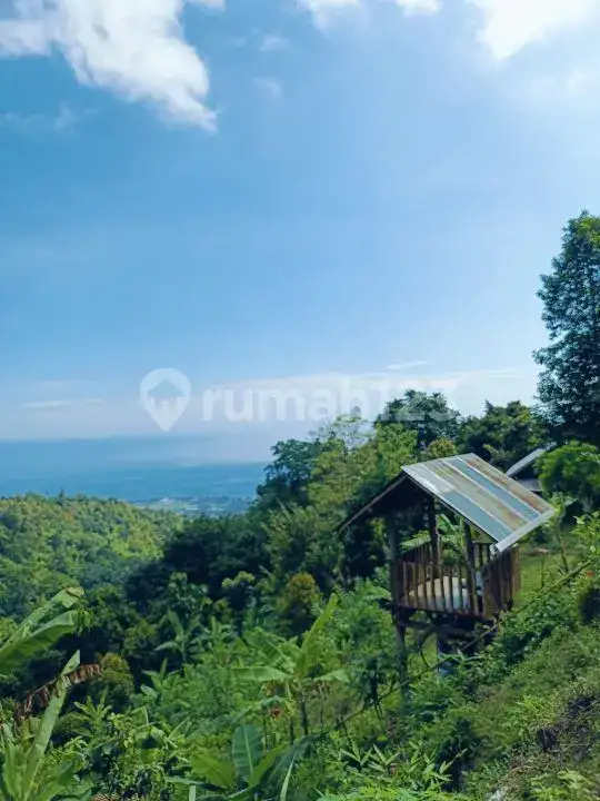 Tanah Perbukitan Lovina View Laut Cocok untuk Investasi atau Villa Pribadi
