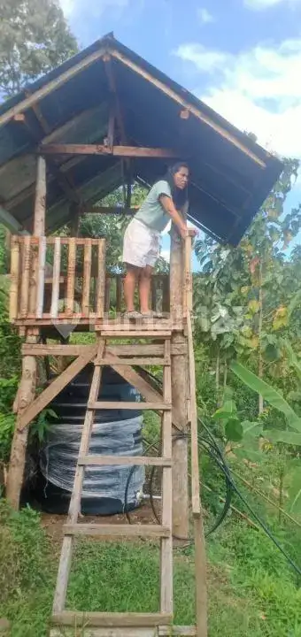 Tanah Perbukitan Lovina View Laut Cocok untuk Investasi atau Villa Pribadi