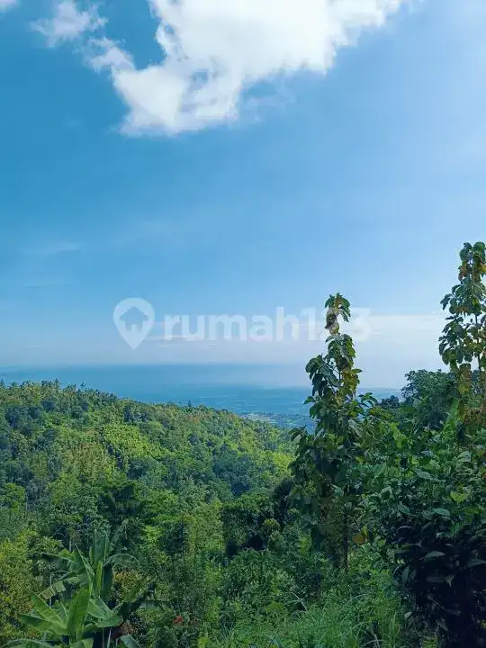 Tanah Perbukitan Lovina View Laut Cocok untuk Investasi atau Villa Pribadi