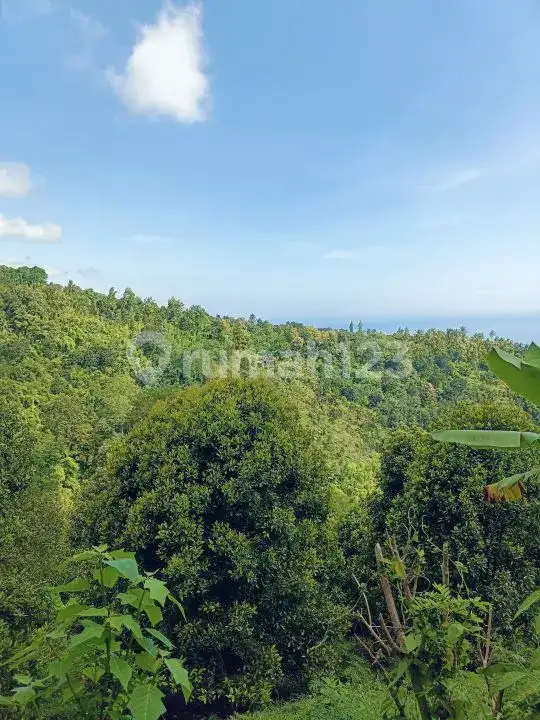 Tanah Perbukitan Lovina View Laut Cocok untuk Investasi atau Villa Pribadi