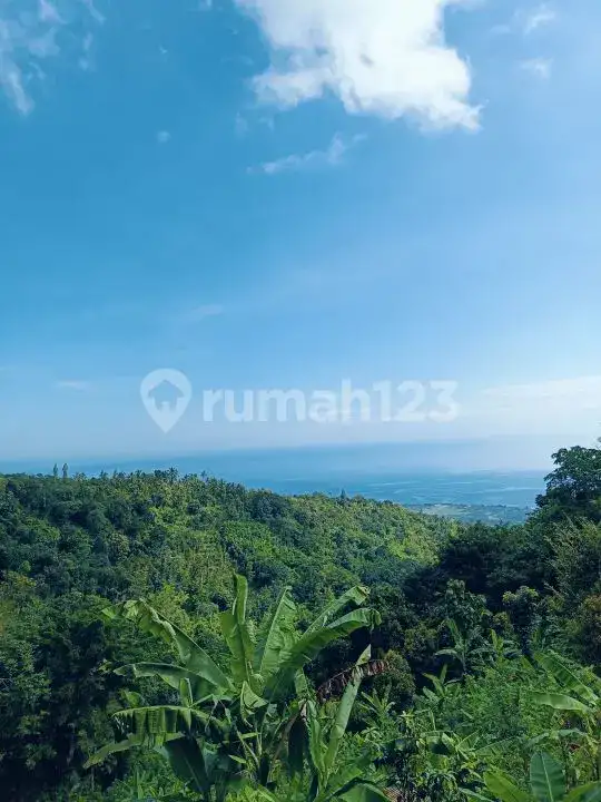 Tanah Perbukitan Lovina View Laut Cocok untuk Investasi atau Villa Pribadi