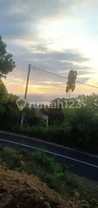 Tanah Perbukitan Lovina View Laut Cocok untuk Investasi atau Villa Pribadi