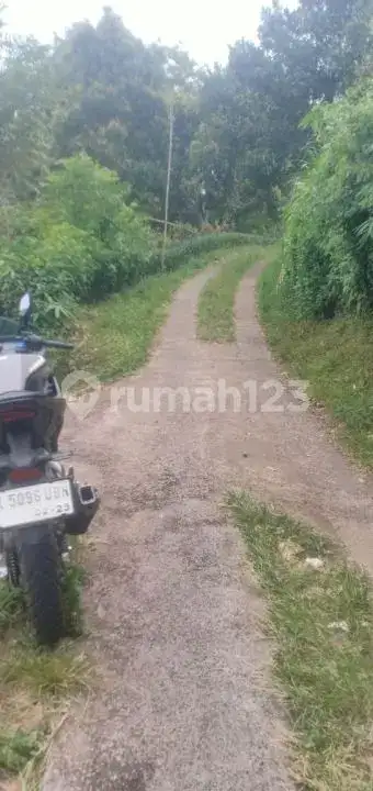 Tanah Perbukitan Lovina View Laut Cocok untuk Investasi atau Villa Pribadi