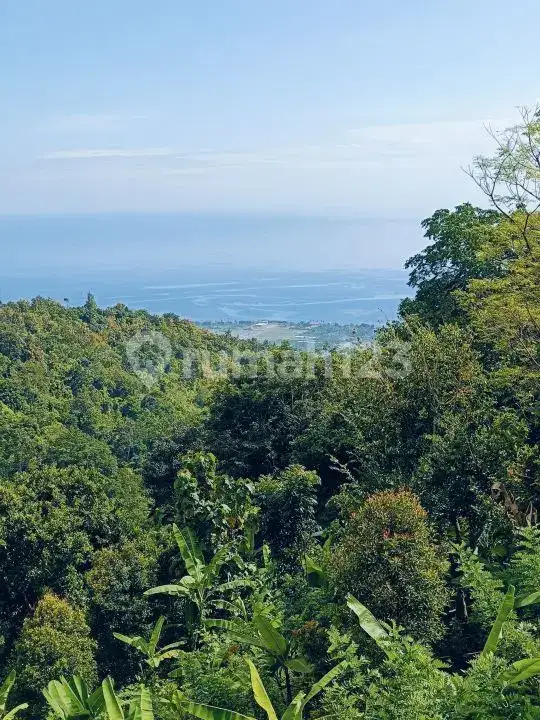 Tanah Perbukitan Lovina View Laut Cocok untuk Investasi atau Villa Pribadi