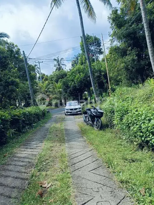 Tanah Perbukitan Lovina View Laut Cocok untuk Investasi atau Villa Pribadi