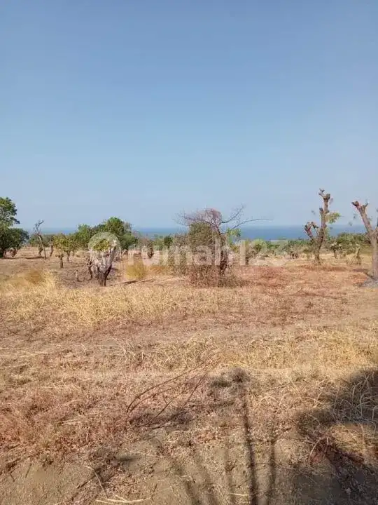 Tanah 40 Are di Tulamben dengan View Gunung Agung Cocok untuk Villa atau Investasi