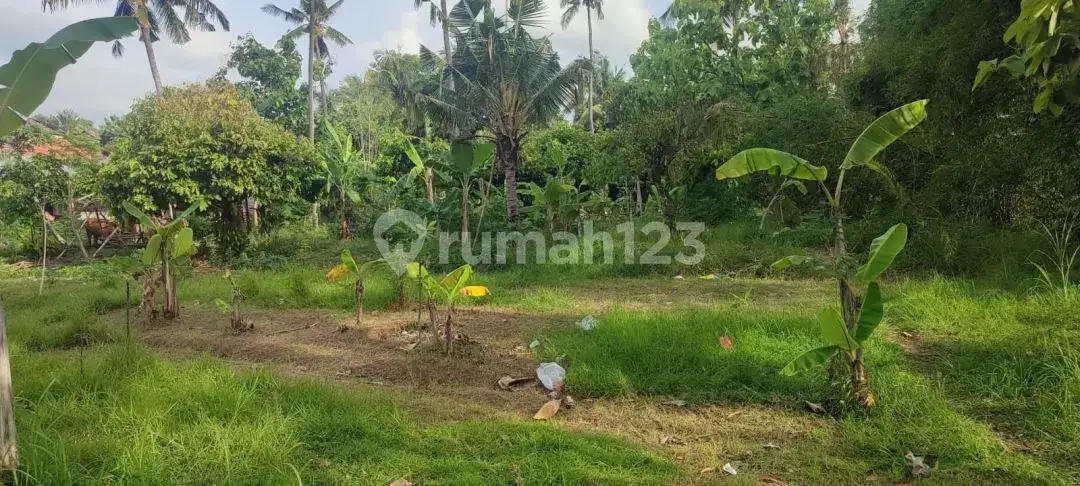 Tanah Beach Front 1 Hektar di Tejakula Cocok untuk Resort, Villa, atau Kavling Investasi