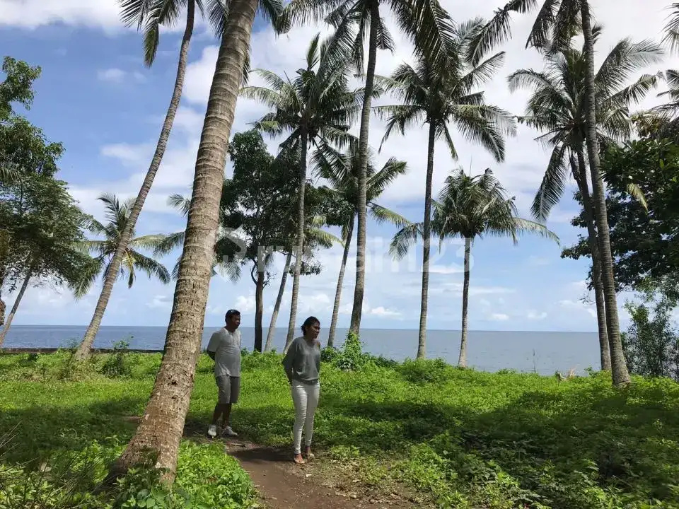 Tanah Beach Front 1 Hektar di Tejakula Cocok untuk Resort, Villa, atau Kavling Investasi