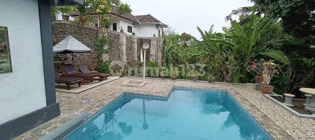 Private Homestay 1 Bedroom di Lovina Kayuputih Area Tenang dan Asri