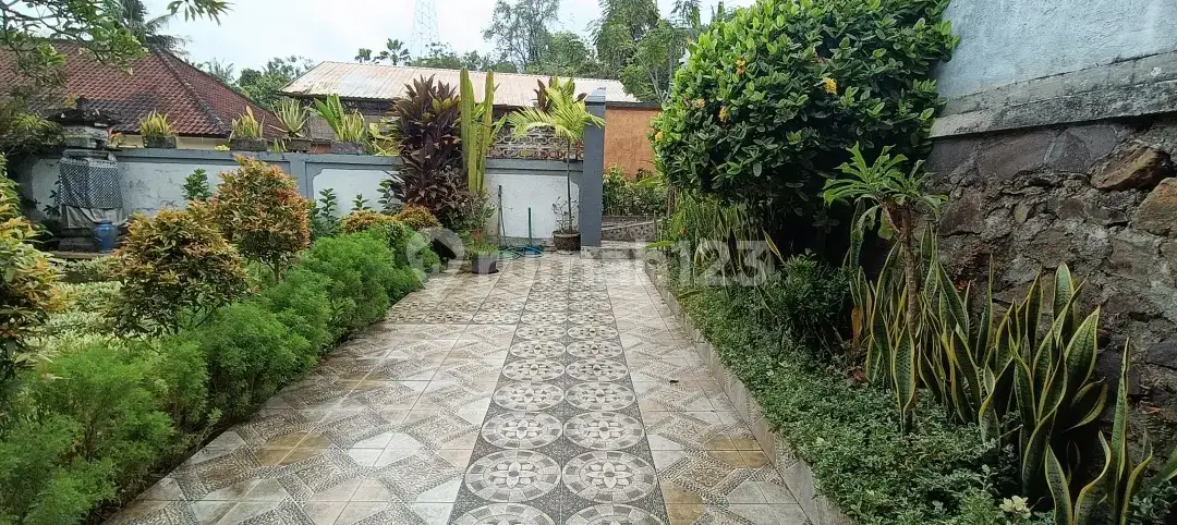 Private Homestay 1 Bedroom di Lovina Kayuputih Area Tenang dan Asri