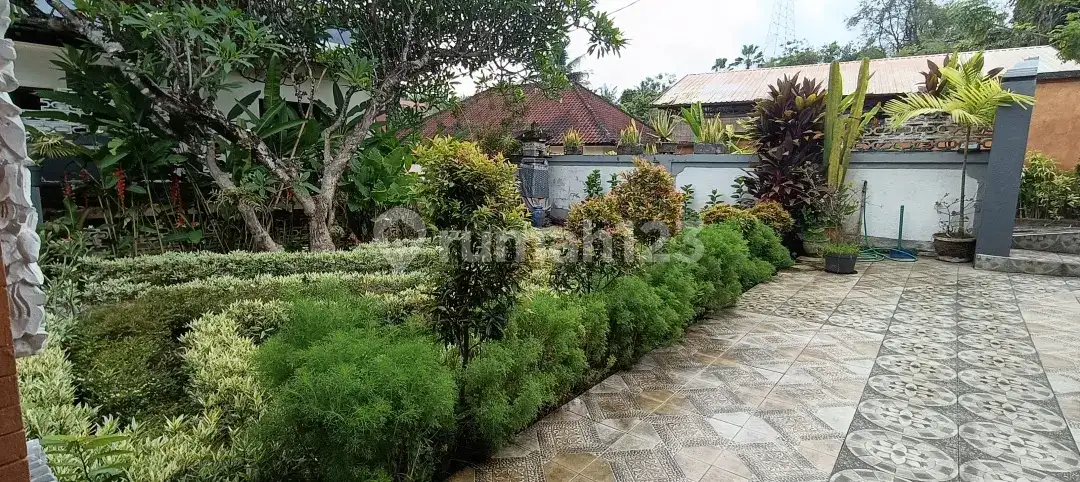 Private Homestay 1 Bedroom di Lovina Kayuputih Area Tenang dan Asri