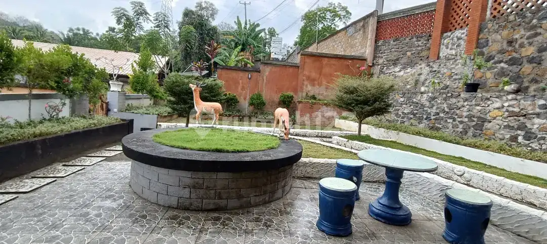 Private Homestay 1 Bedroom di Lovina Kayuputih Area Tenang dan Asri