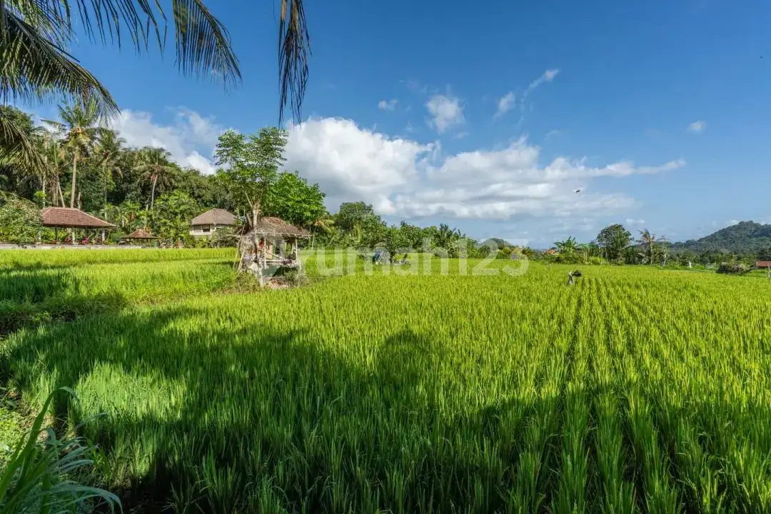 Villa 2 Kamar Tidur dengan View Sawah Dekat Candidasa dan Padang Bai