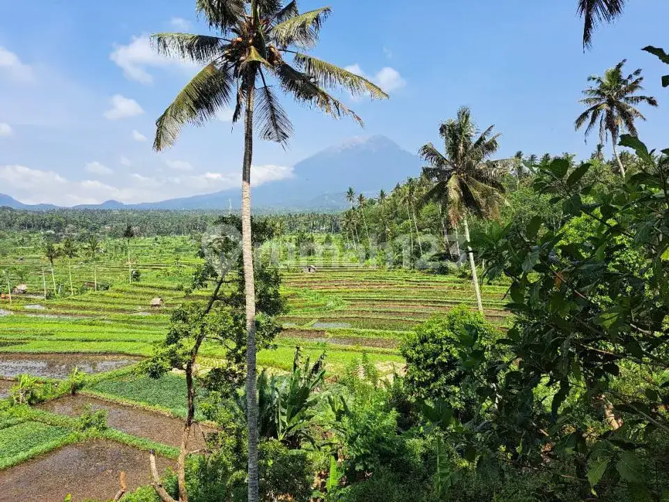 Tanah Disewakan View Sawah Gunung dan Laut di Kawasan Tirtagangga Karangasem