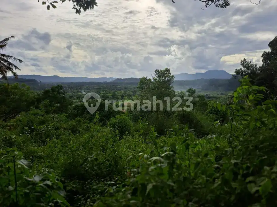 Tanah Disewa View Sawah dan Gunung Agung di Kawasan Wisata Tirtagangga