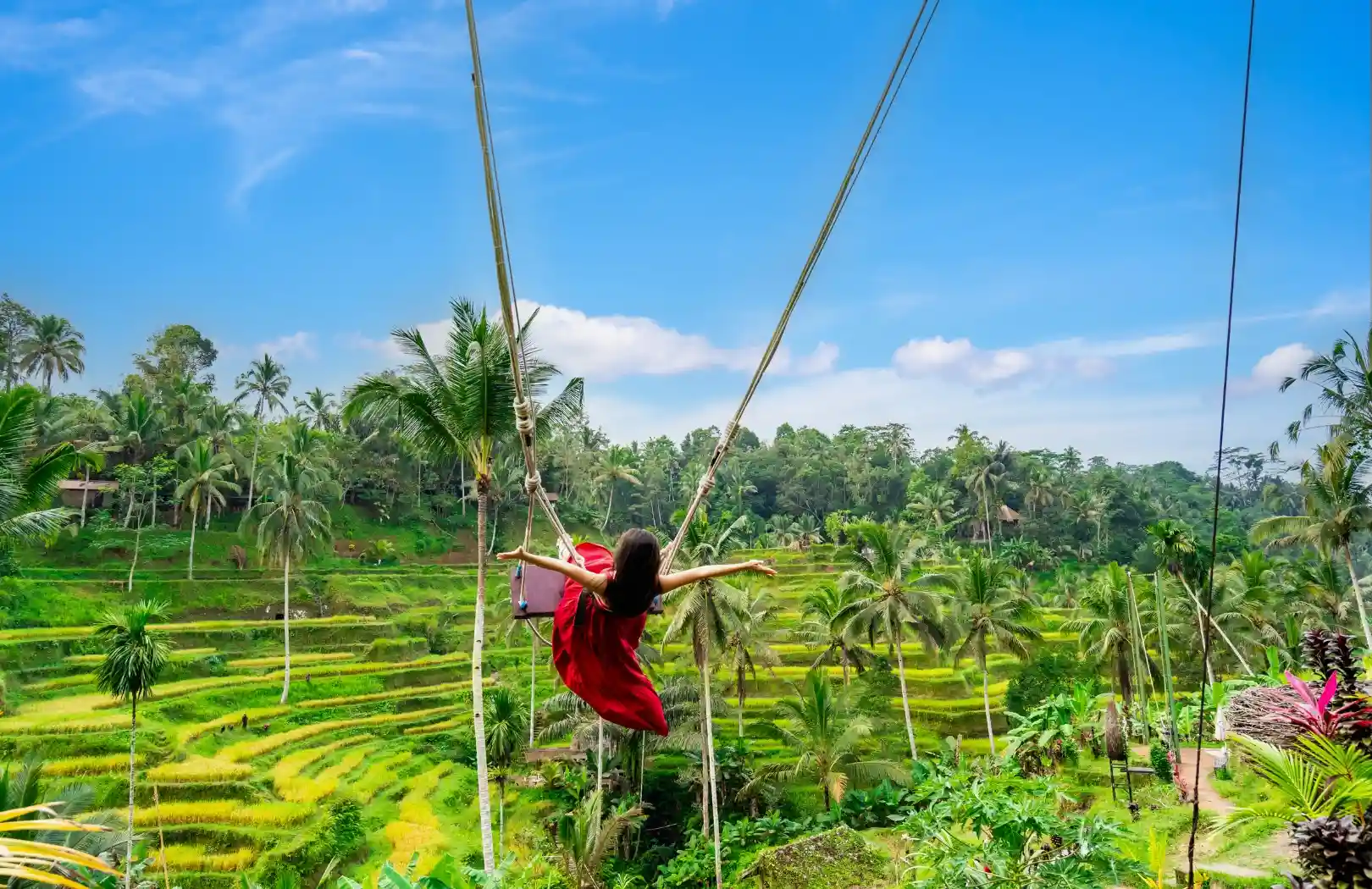 Wos River Tubing Adventure and Ubud Swing Tour