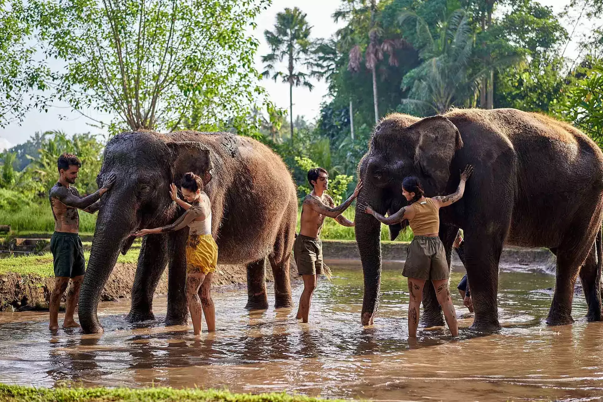 Bali Wildlife Combo Breakfast with Orangutan and Elephant Mud Fun