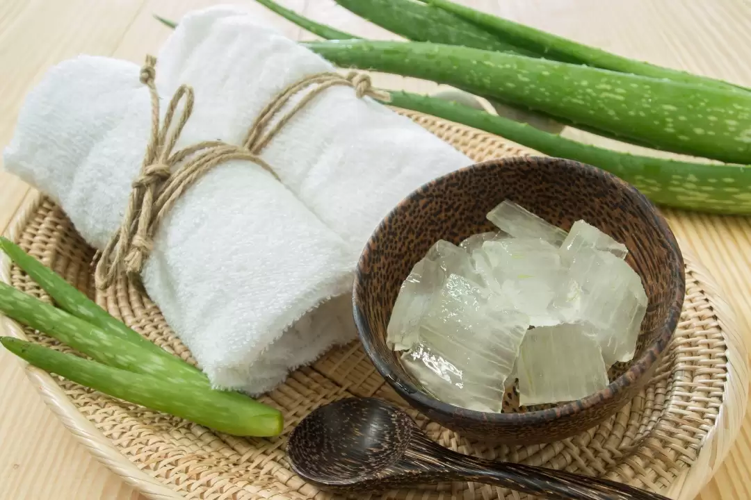 Aloe Vera Sunburn Treatment in Ubud