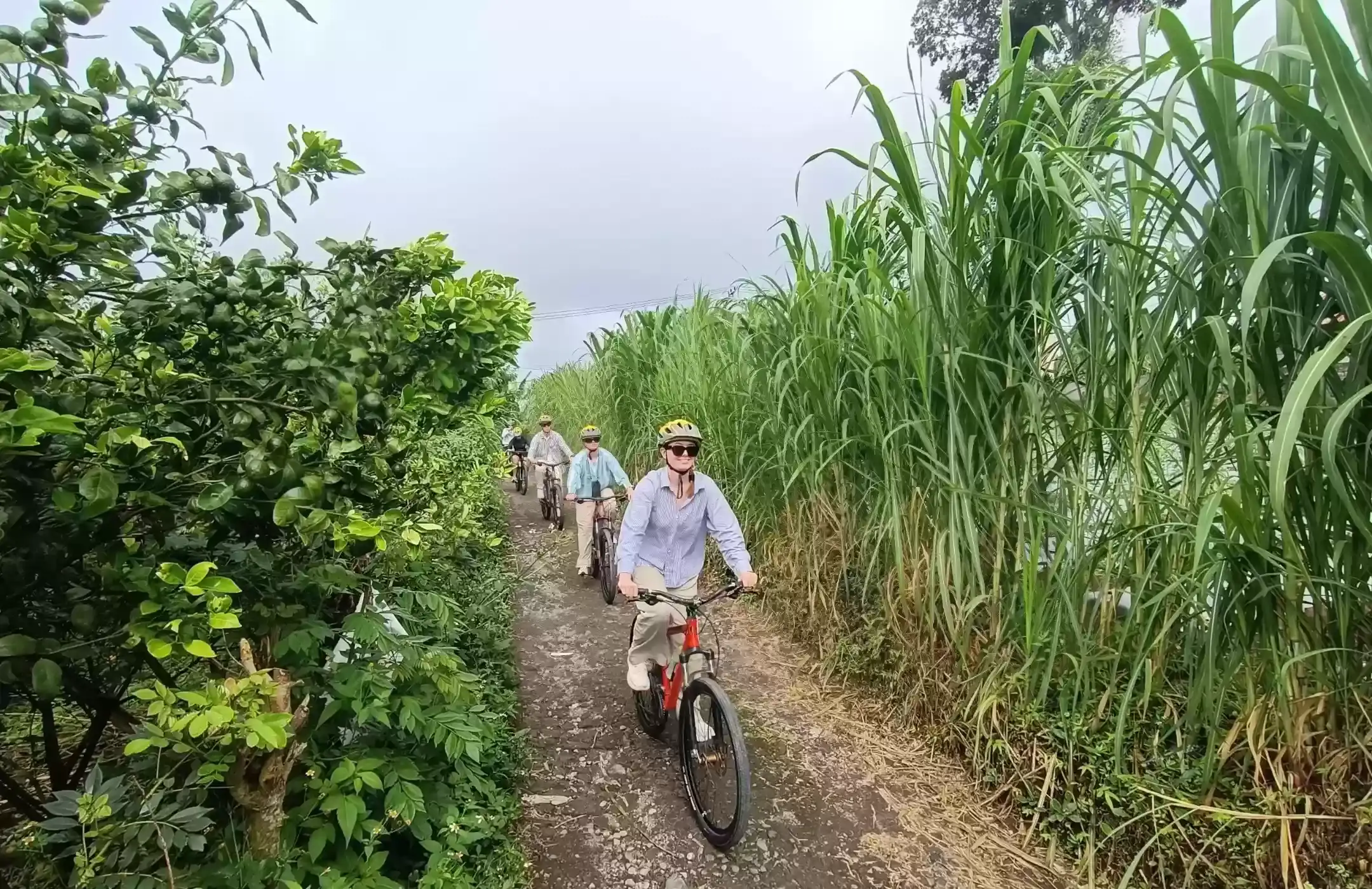 Bali Cycling Tours Experience