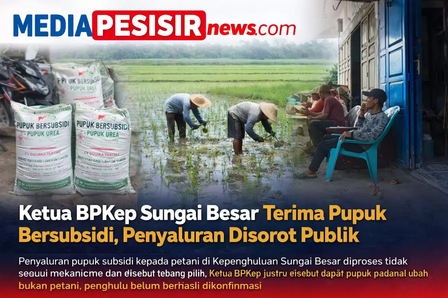 Ketua BPKep Sungai Besar Terima Pupuk Bersubsidi, Penyaluran Disorot Publik