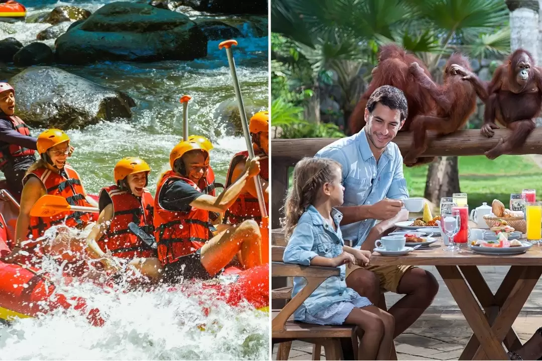 Breakfast with Orangutans & Ayung River Rafting Experience