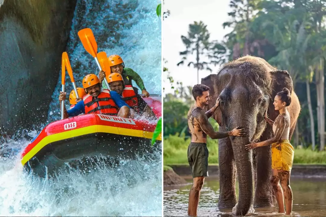 Ayung River Rafting & Elephant Mud Fun Experience