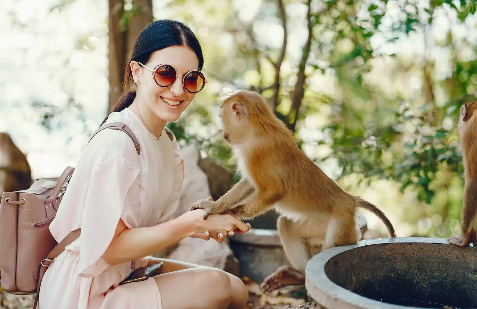 Ayung River Rafting & Ubud Monkey Forest Discovery