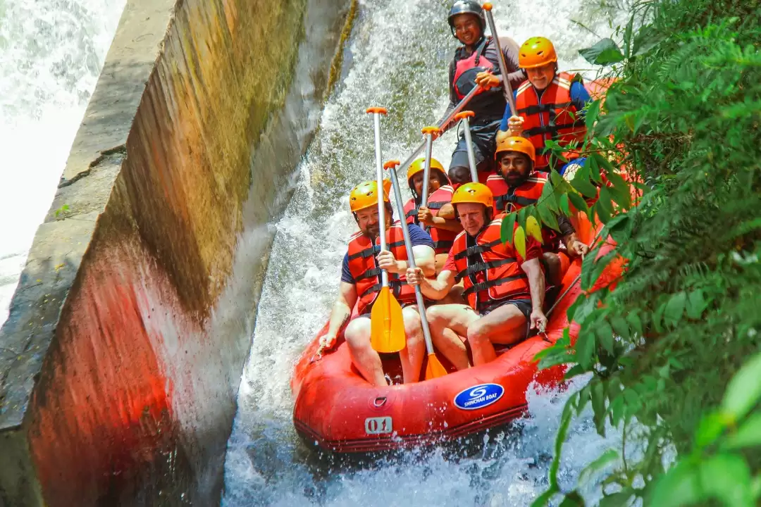 Ubud Cycling Tour & Ayung River Rafting Experience