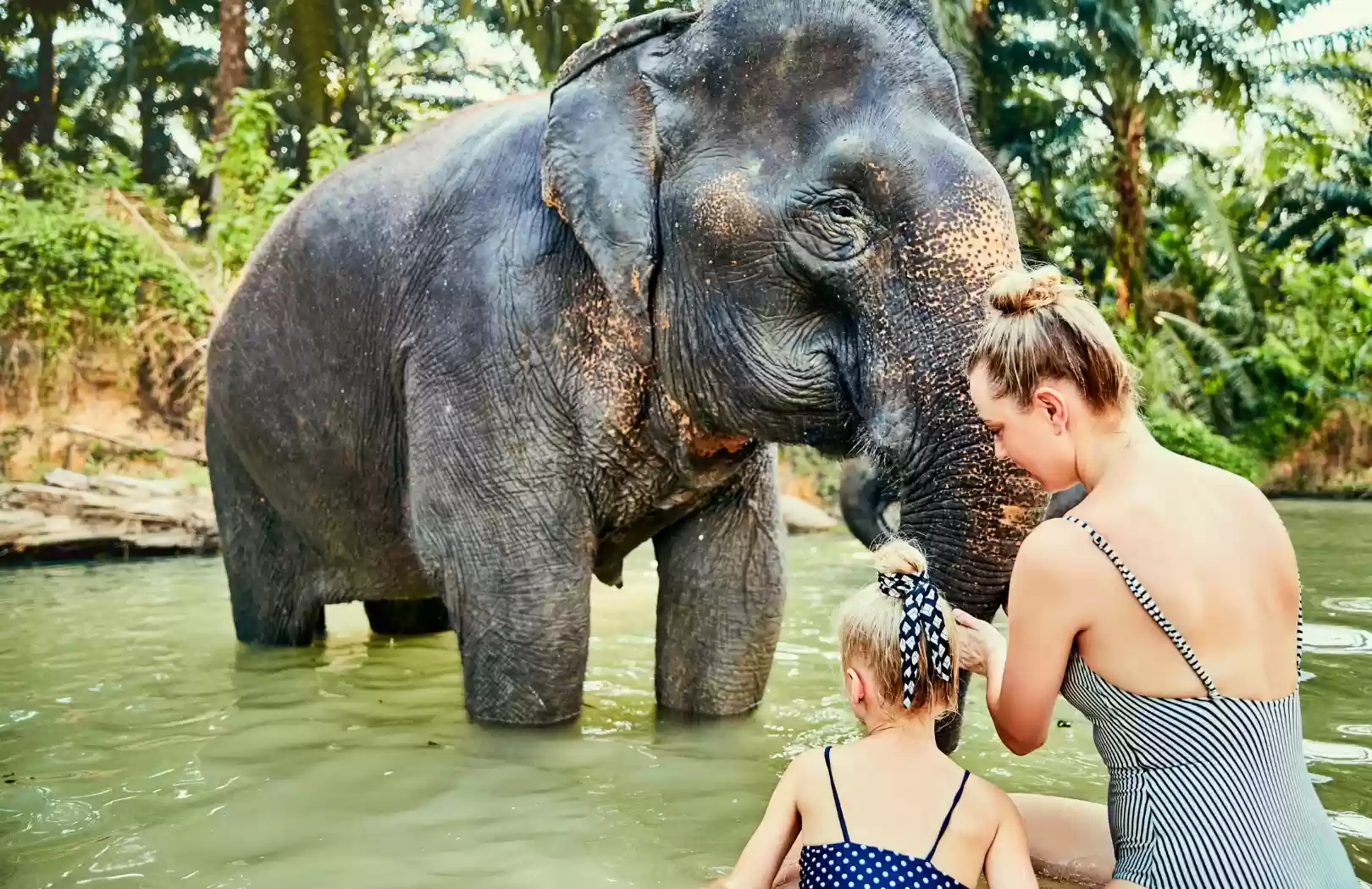 Ayung River Rafting & Elephant Expedition Adventure