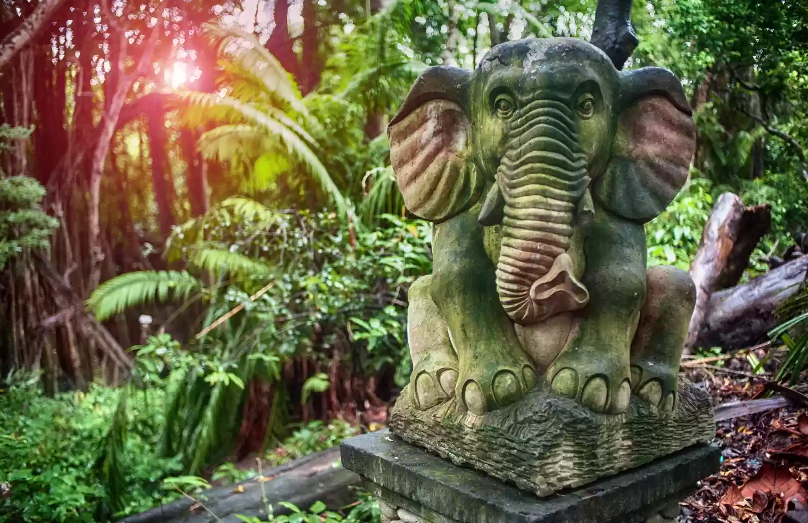 Ayung River Rafting & Ubud Monkey Forest Cultural Experience