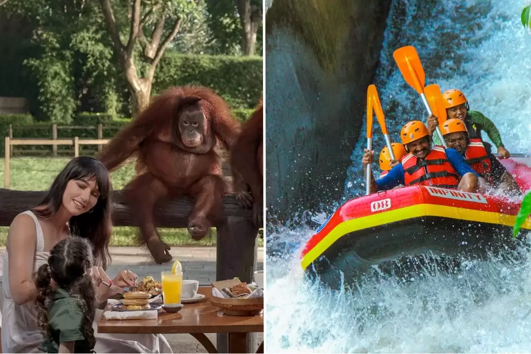 Telaga Waja Rafting No Stairs & Breakfast with Orangutans Experience