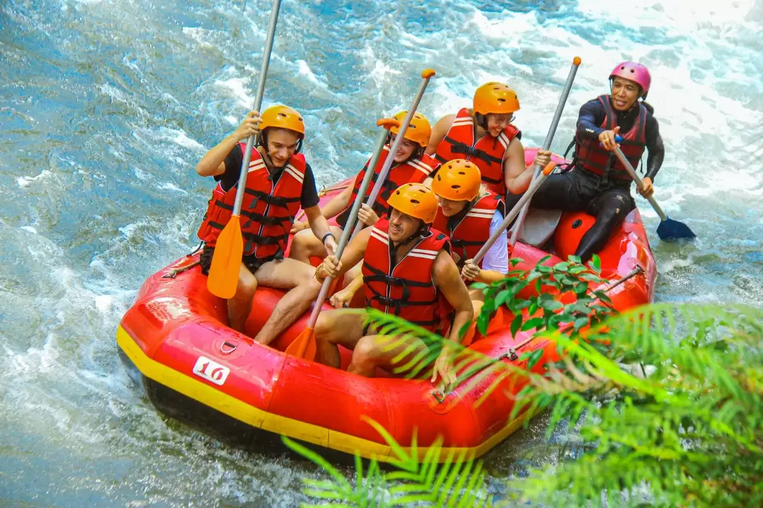 Telaga Waja No Stairs Rafting & Bali Jungle Swing Adventure