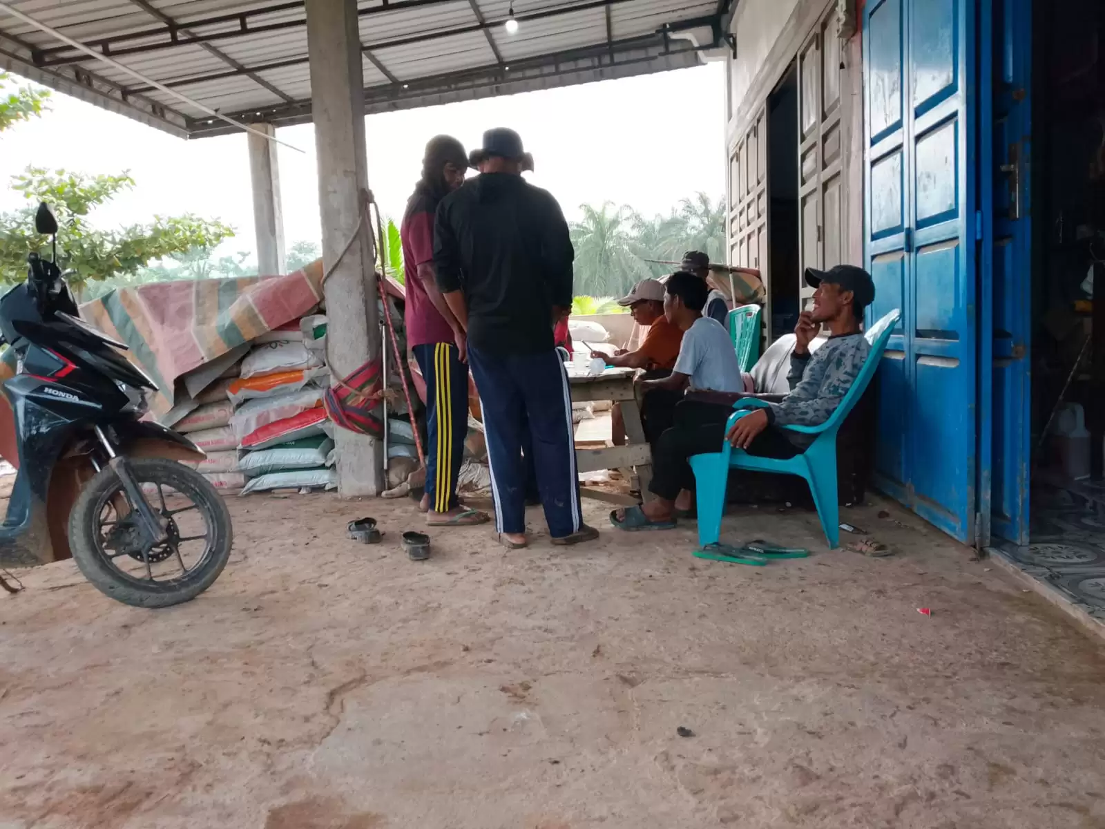 Penyaluran Pupuk Bantuan Urea di Kepenghuluan Sungai Besar di Sorot Publik, Transparansi Ikut di Pertanyakan..!! 