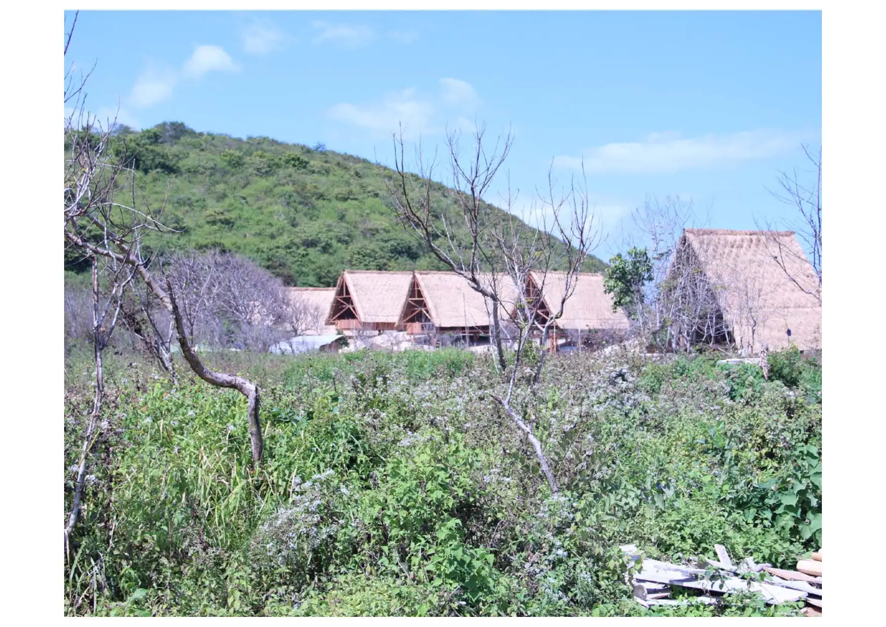 Jeeva Bloam Resort & Camp3