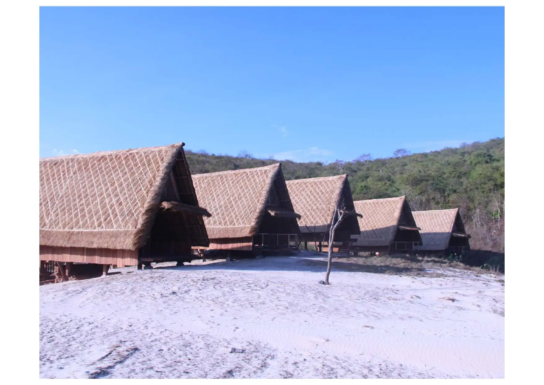 Jeeva Bloam Resort & Camp4