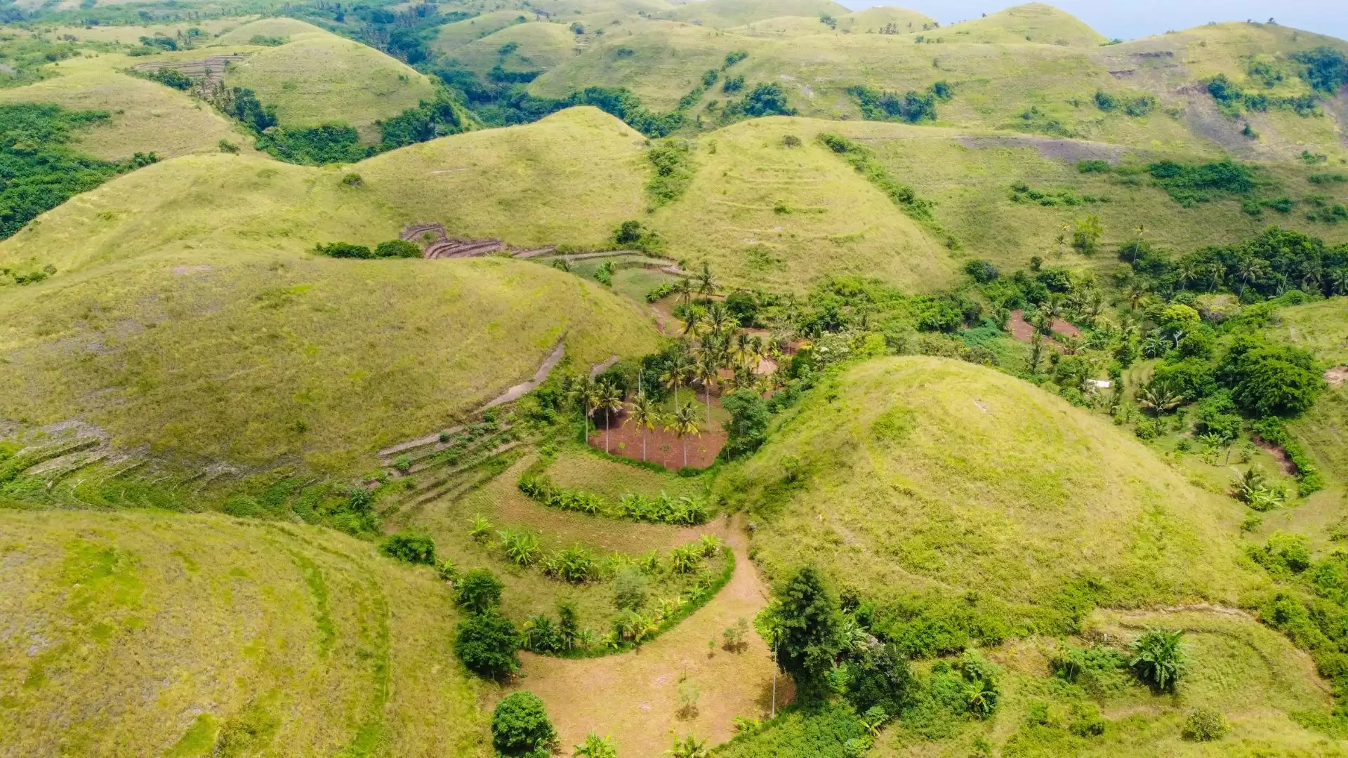 Nusa Penida Tour: Unlock the Island's Natural Beauty