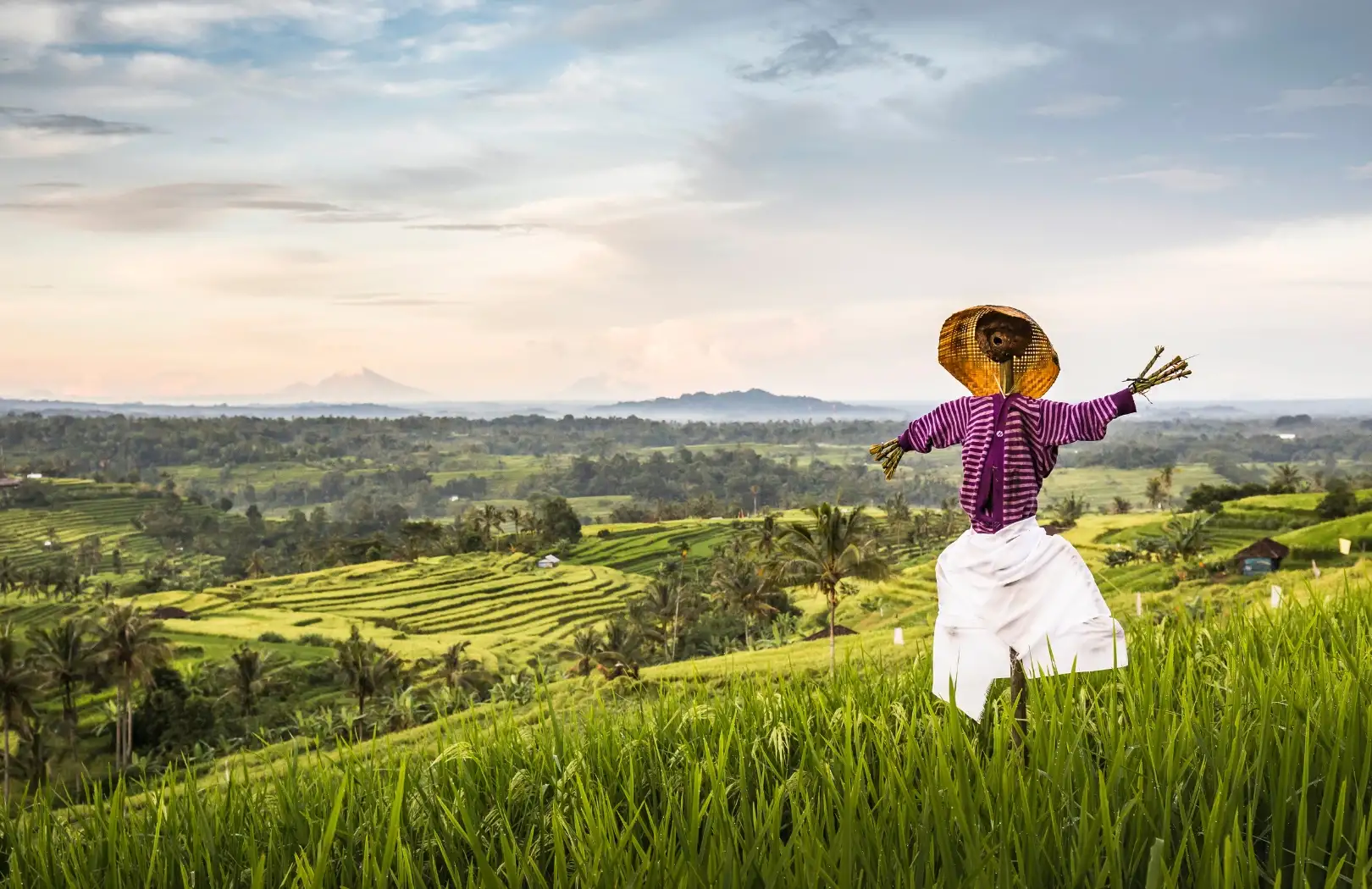 North Bali Scenic Discovery
