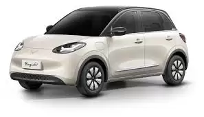 Wuling Binguo EV
