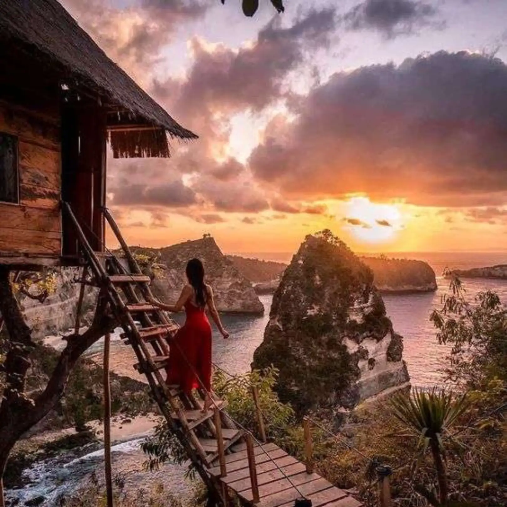 Tree House Molenteng