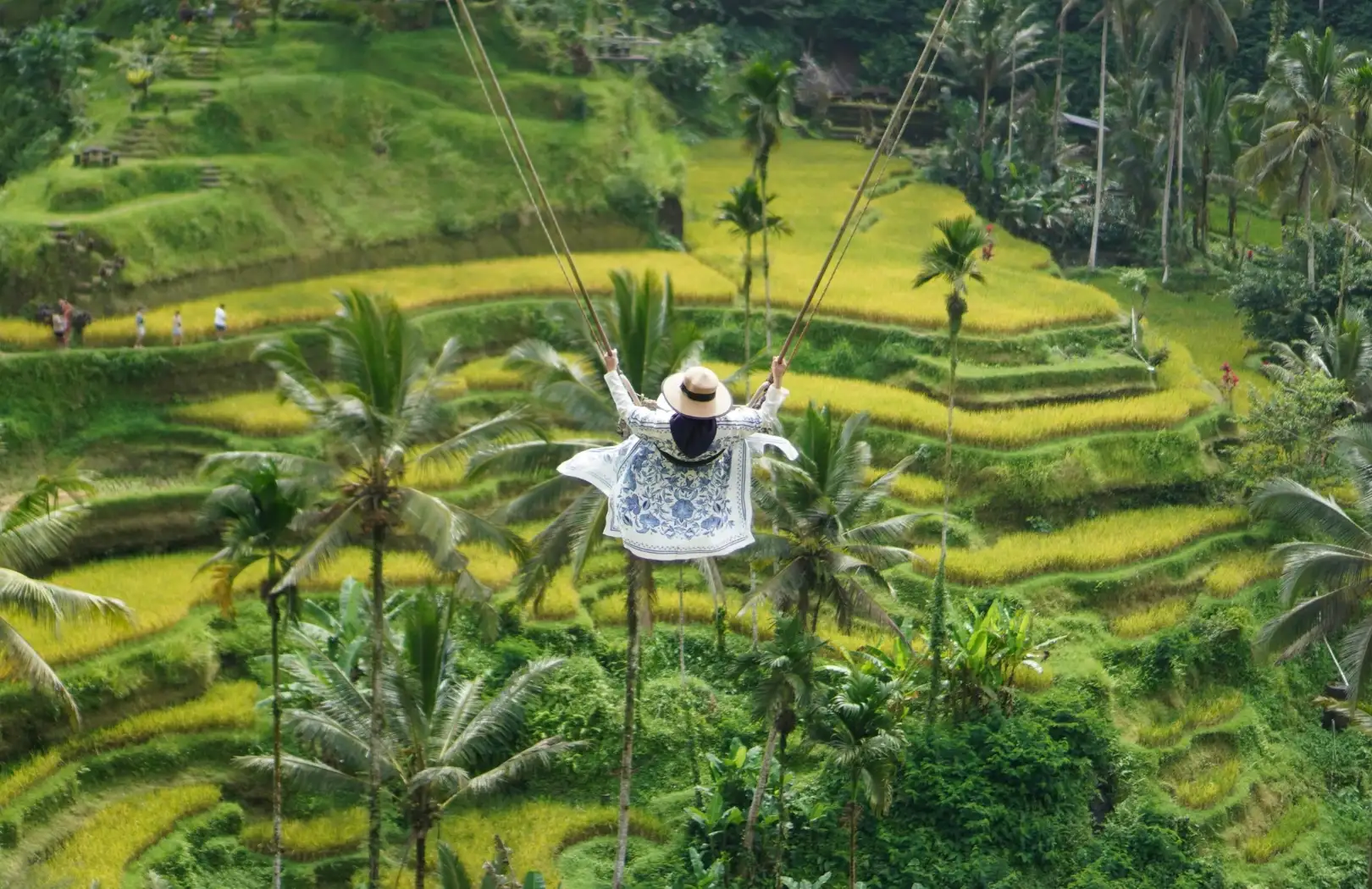 Explore Ubud and Kintamani