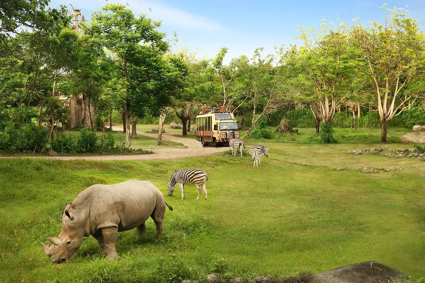 Bali Safari and Marine Park Tour
