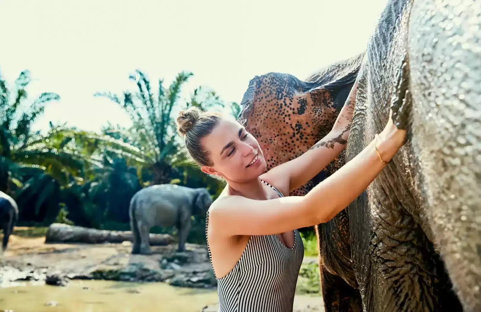 Elephant Mud Fun
