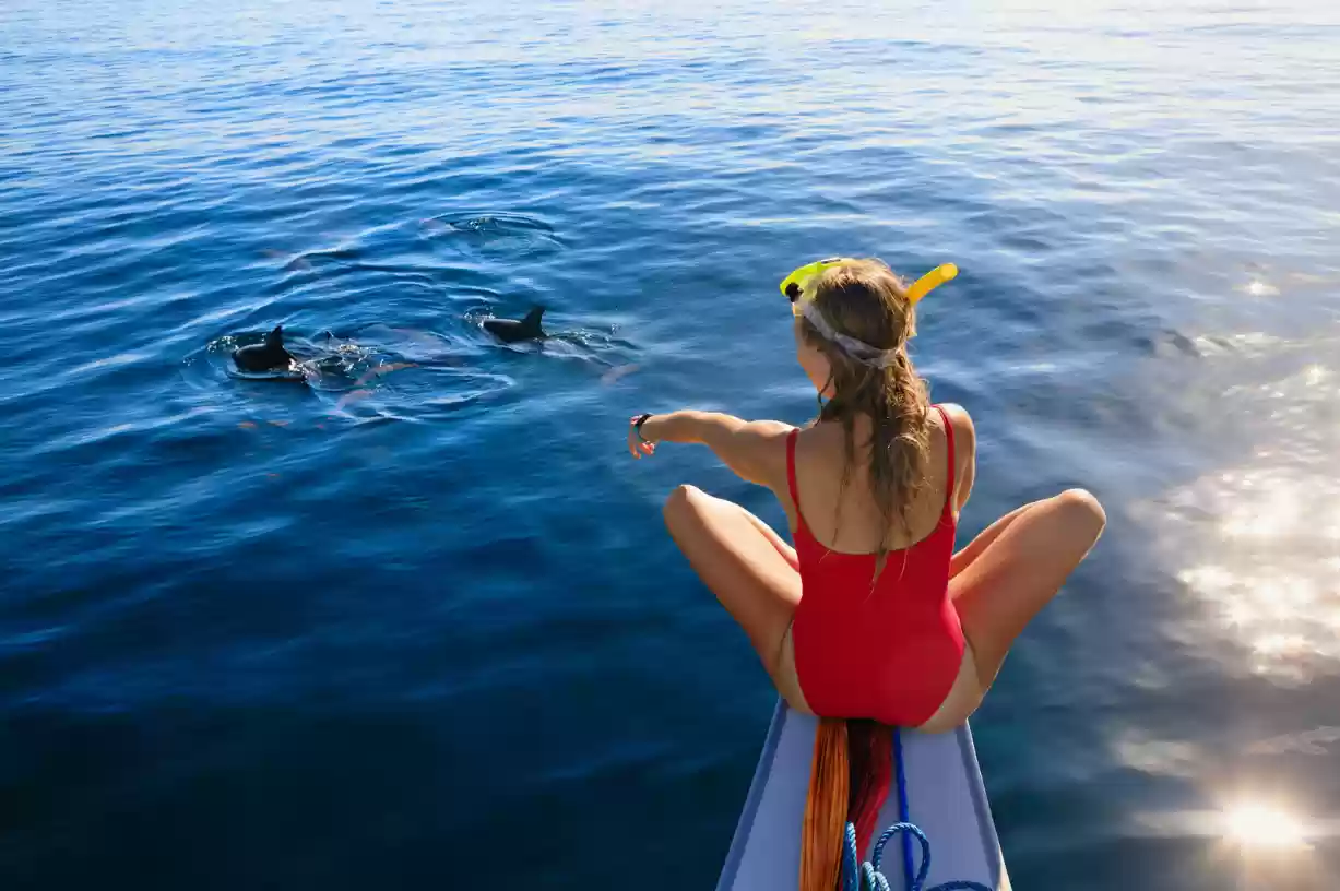 Bali Dolphin Tour: What to Bring and Expect