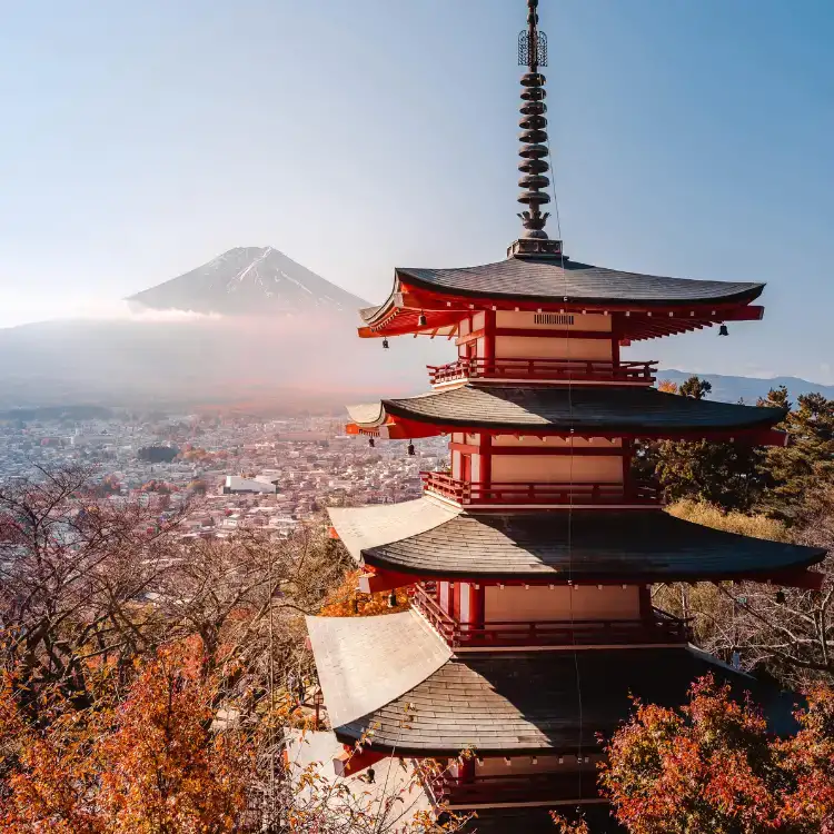 Asia Collection