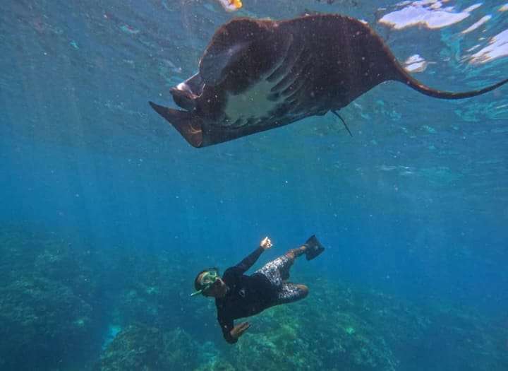 Snorkeling Trips Nusa Penida