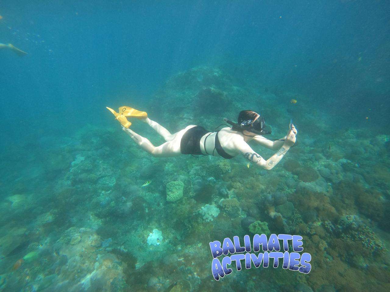 Snorkeling Package